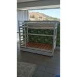 Pino Ψηλή Κουκέτα